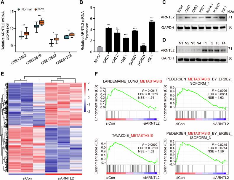https://cdn.ncbi.nlm.nih.gov/pmc/blobs/4c3a/11220028/0335c44c7605/41419_2024_6860_Fig1_HTML.jpg
