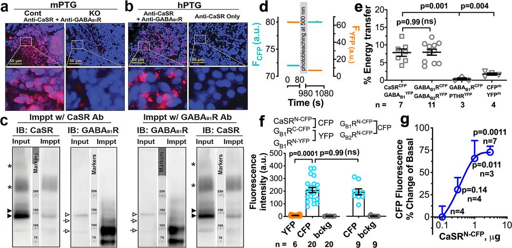 https://cdn.ncbi.nlm.nih.gov/pmc/blobs/4c3a/7377265/7e24fef29b6b/nihms-1550595-f0003.jpg