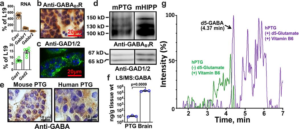 https://cdn.ncbi.nlm.nih.gov/pmc/blobs/4c3a/7377265/d23fd1ab960c/nihms-1550595-f0001.jpg