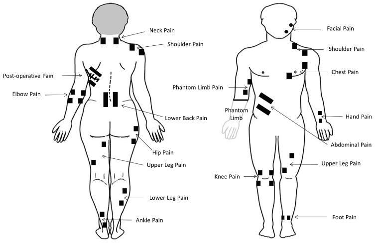 https://cdn.ncbi.nlm.nih.gov/pmc/blobs/4c3a/8070828/04a254419273/medicina-57-00378-g002.jpg