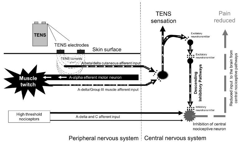 https://cdn.ncbi.nlm.nih.gov/pmc/blobs/4c3a/8070828/3f2522100fbb/medicina-57-00378-g006.jpg
