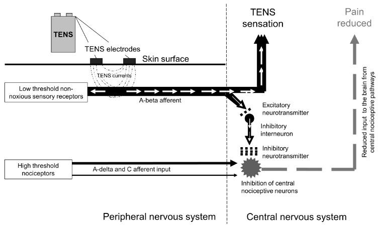 https://cdn.ncbi.nlm.nih.gov/pmc/blobs/4c3a/8070828/f6169c745abc/medicina-57-00378-g005.jpg