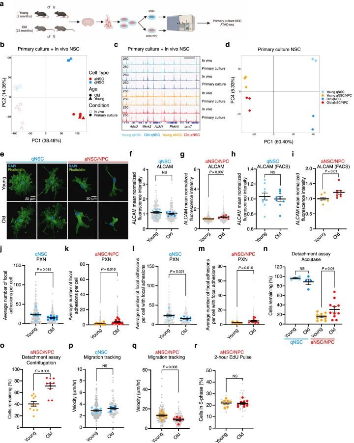 https://cdn.ncbi.nlm.nih.gov/pmc/blobs/4c3b/10353944/400d59974b99/43587_2023_449_Fig15_ESM.jpg