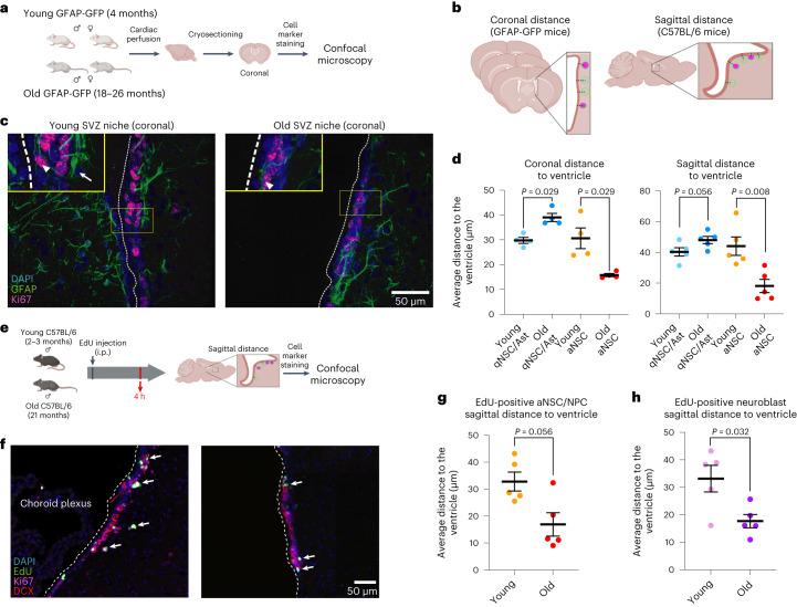 https://cdn.ncbi.nlm.nih.gov/pmc/blobs/4c3b/10353944/456f5ea9b4e5/43587_2023_449_Fig4_HTML.jpg