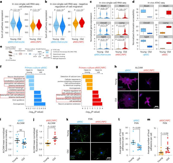 https://cdn.ncbi.nlm.nih.gov/pmc/blobs/4c3b/10353944/7a929bdbe302/43587_2023_449_Fig2_HTML.jpg