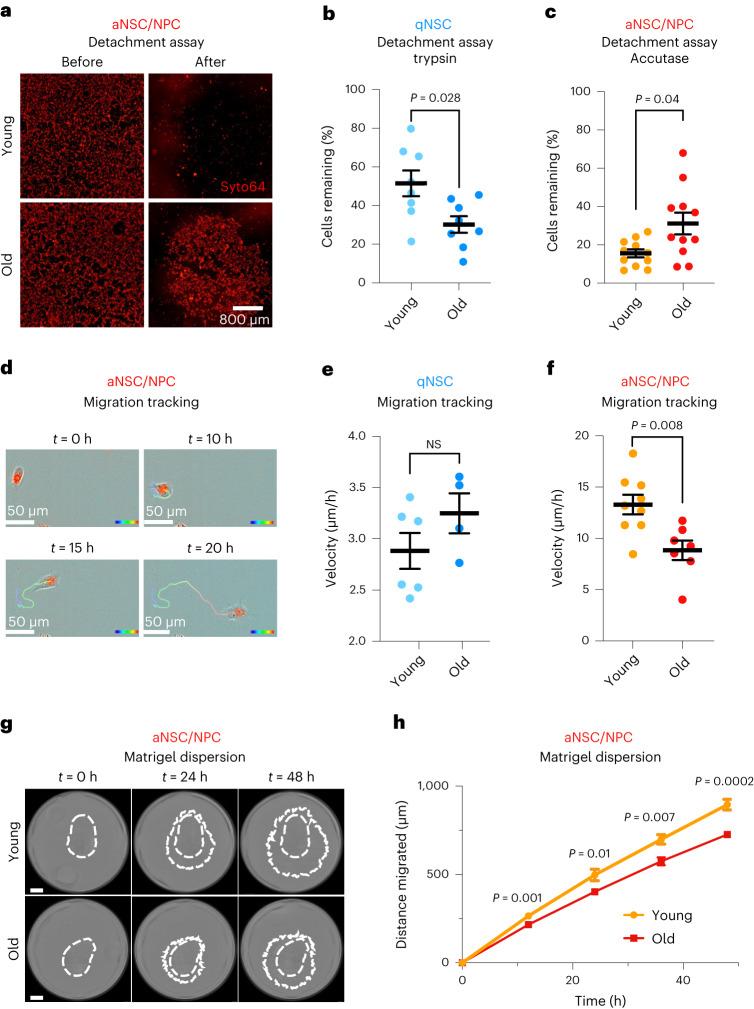 https://cdn.ncbi.nlm.nih.gov/pmc/blobs/4c3b/10353944/b201c9710462/43587_2023_449_Fig3_HTML.jpg