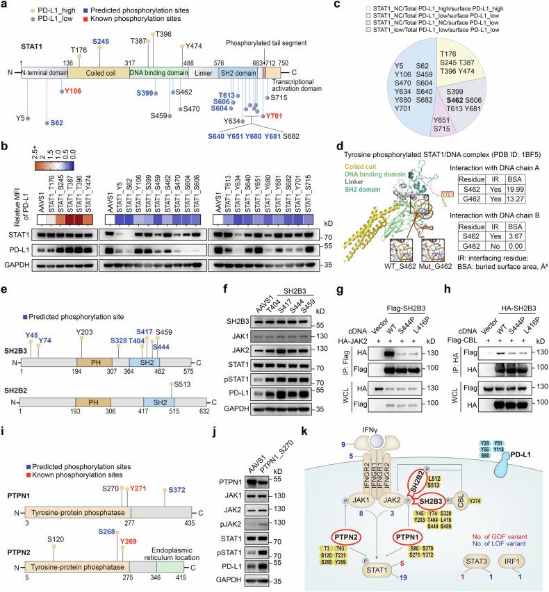 https://cdn.ncbi.nlm.nih.gov/pmc/blobs/4c3b/11920242/19502a82a5ca/41392_2025_2171_Fig3_HTML.jpg