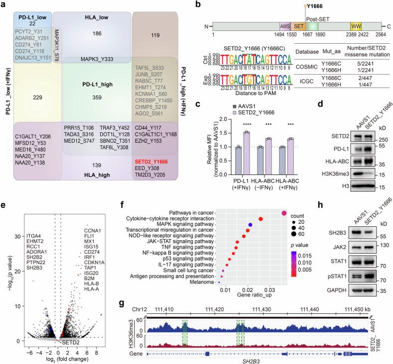 https://cdn.ncbi.nlm.nih.gov/pmc/blobs/4c3b/11920242/7f55d5b7c91a/41392_2025_2171_Fig5_HTML.jpg