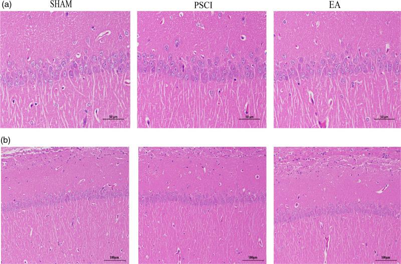 https://cdn.ncbi.nlm.nih.gov/pmc/blobs/4c3d/11236269/73e27503ac33/nr-35-780-g002.jpg