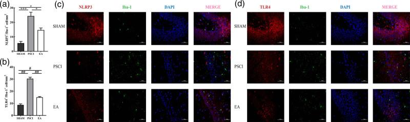 https://cdn.ncbi.nlm.nih.gov/pmc/blobs/4c3d/11236269/a06418be8b0b/nr-35-780-g003.jpg