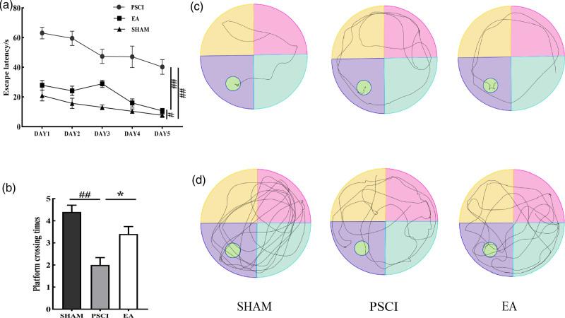 https://cdn.ncbi.nlm.nih.gov/pmc/blobs/4c3d/11236269/f94f93c47ed1/nr-35-780-g001.jpg