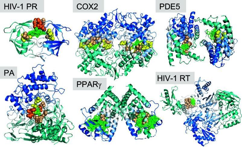 https://cdn.ncbi.nlm.nih.gov/pmc/blobs/4c3e/11626116/aa04e7153e3d/pnas.2414333121fig04.jpg