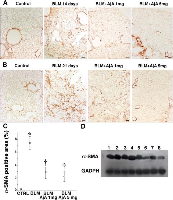 https://cdn.ncbi.nlm.nih.gov/pmc/blobs/4c3e/4859981/24edf6bd87c3/12931_2016_373_Fig5_HTML.jpg