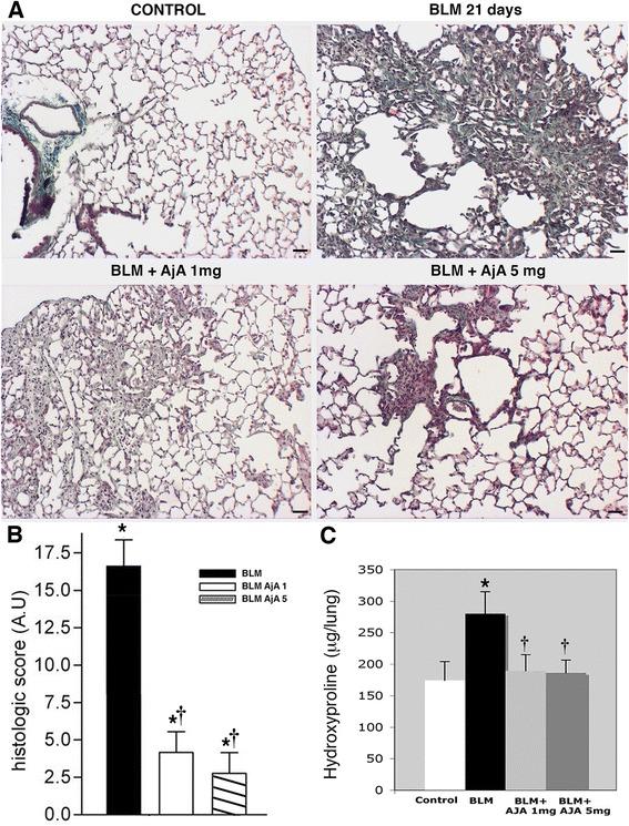 https://cdn.ncbi.nlm.nih.gov/pmc/blobs/4c3e/4859981/94e8cc990adf/12931_2016_373_Fig6_HTML.jpg