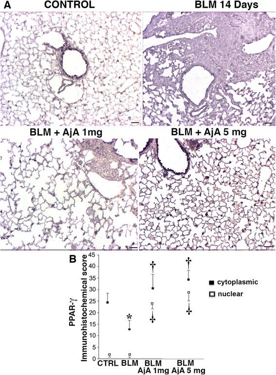 https://cdn.ncbi.nlm.nih.gov/pmc/blobs/4c3e/4859981/dcfa74972ddb/12931_2016_373_Fig8_HTML.jpg