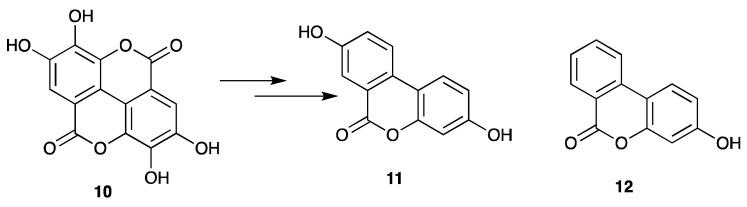 https://cdn.ncbi.nlm.nih.gov/pmc/blobs/4c3e/8950597/f52466877304/life-12-00417-g002.jpg