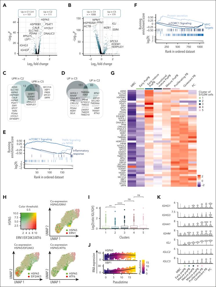 https://cdn.ncbi.nlm.nih.gov/pmc/blobs/4c3f/11406183/d03b7514d217/BLOOD_BLD-2023-023237-gr7.jpg