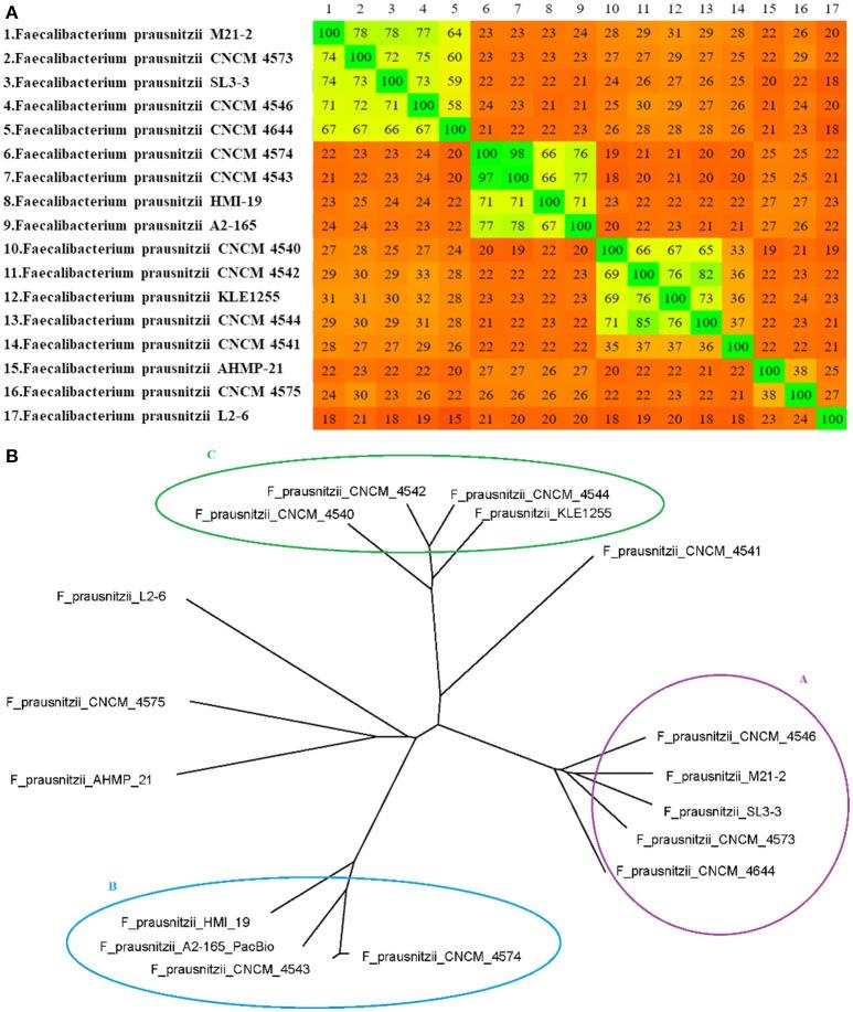 https://cdn.ncbi.nlm.nih.gov/pmc/blobs/4c40/5609107/79e73b07baaf/fmicb-08-01790-g0002.jpg