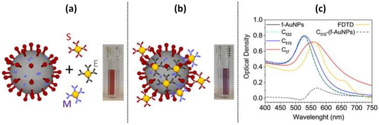 https://cdn.ncbi.nlm.nih.gov/pmc/blobs/4c41/9786532/18418af59bd0/11468_2022_1754_Fig11_HTML.jpg