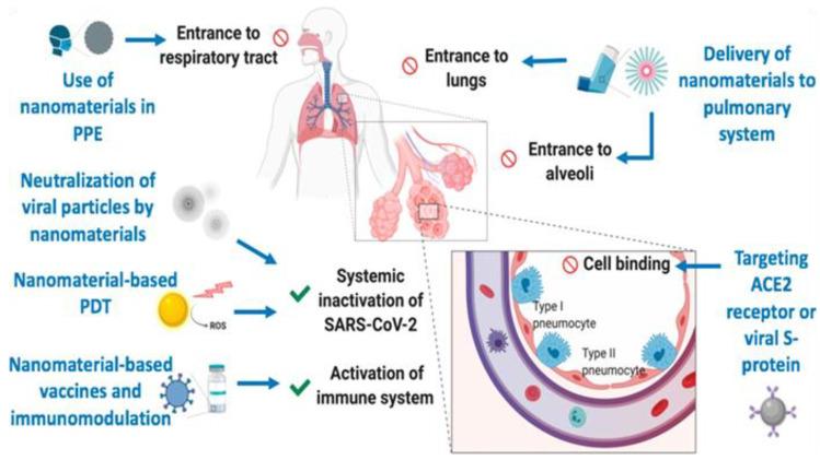 https://cdn.ncbi.nlm.nih.gov/pmc/blobs/4c41/9786532/5831ec8ef0a6/11468_2022_1754_Fig2_HTML.jpg