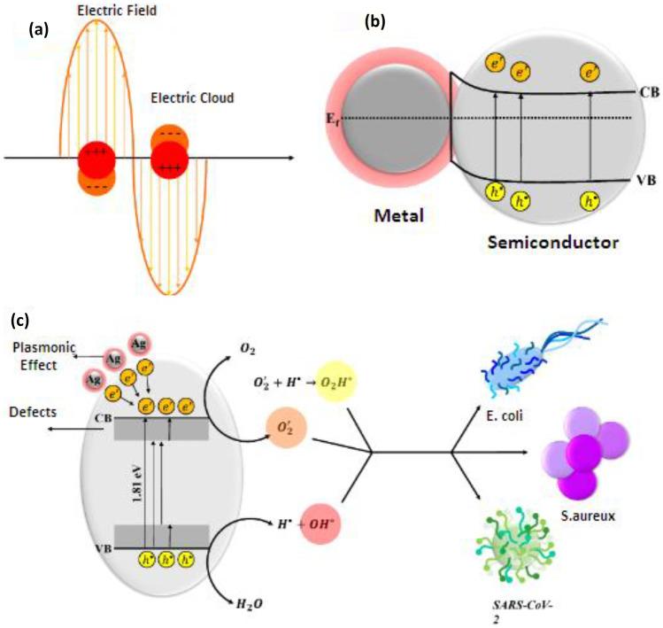 https://cdn.ncbi.nlm.nih.gov/pmc/blobs/4c41/9786532/839187be752f/11468_2022_1754_Fig6_HTML.jpg