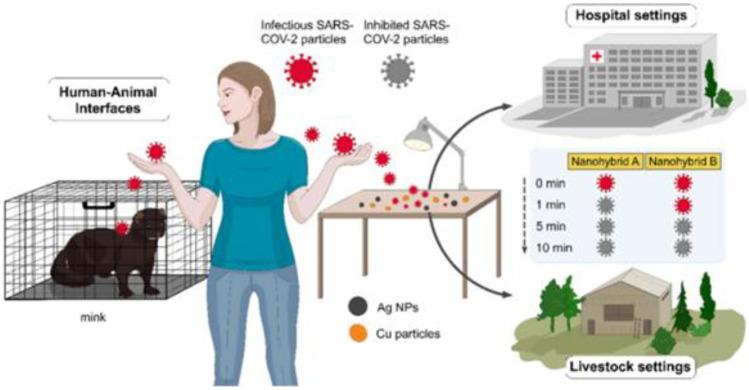 https://cdn.ncbi.nlm.nih.gov/pmc/blobs/4c41/9786532/86eacb2beb31/11468_2022_1754_Fig5_HTML.jpg