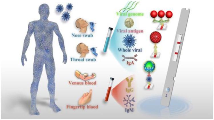 https://cdn.ncbi.nlm.nih.gov/pmc/blobs/4c41/9786532/9af1d58e11e9/11468_2022_1754_Fig12_HTML.jpg