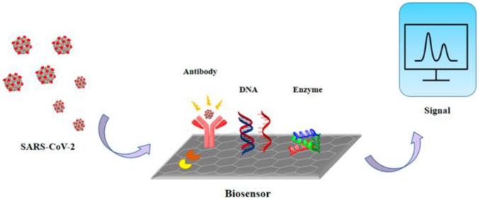 https://cdn.ncbi.nlm.nih.gov/pmc/blobs/4c41/9786532/f2d2357fc6d7/11468_2022_1754_Fig7_HTML.jpg