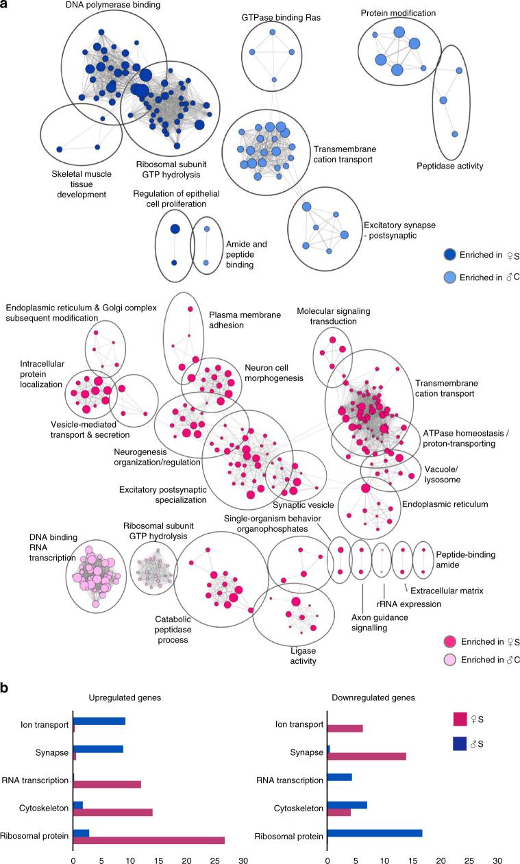 https://cdn.ncbi.nlm.nih.gov/pmc/blobs/4c43/5634406/0543643e79ce/41467_2017_1014_Fig2_HTML.jpg