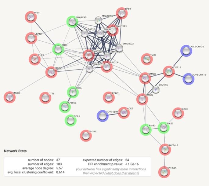 https://cdn.ncbi.nlm.nih.gov/pmc/blobs/4c44/7779004/e5f87cd73078/gkaa1074fig1.jpg