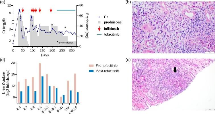 https://cdn.ncbi.nlm.nih.gov/pmc/blobs/4c45/11129582/9fd5383caa2d/sfae127fig1.jpg