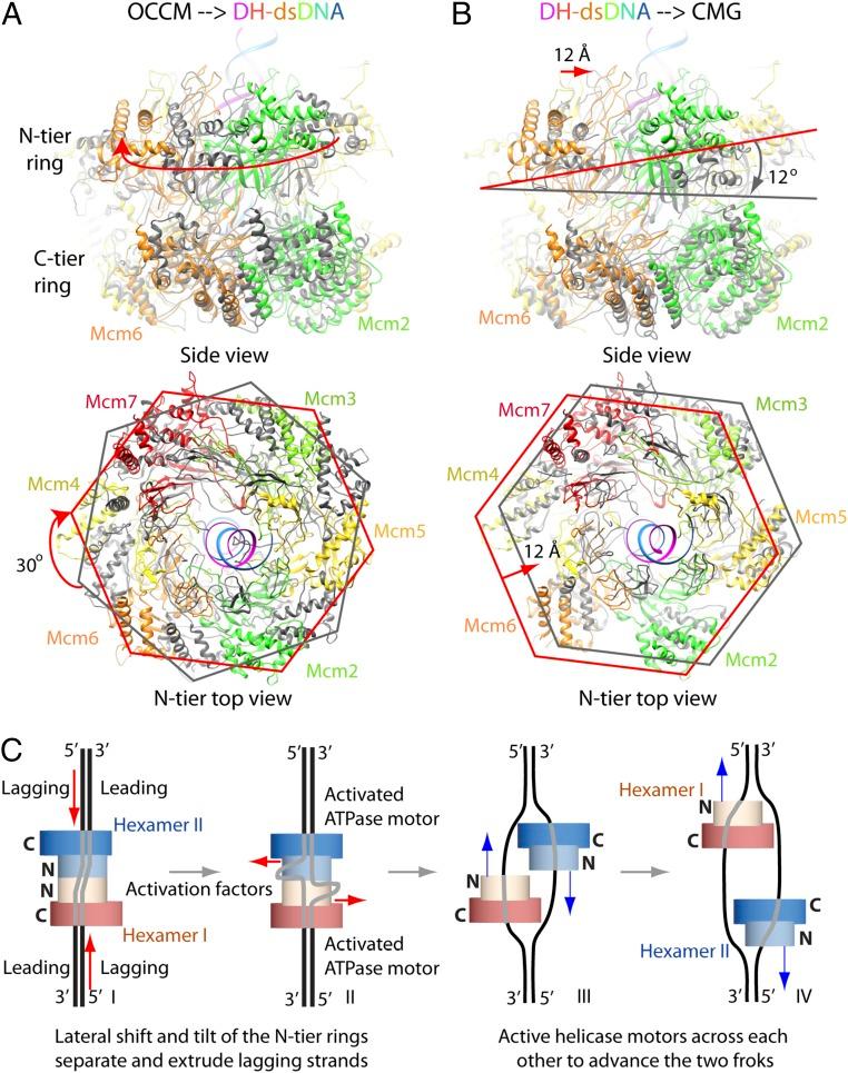 https://cdn.ncbi.nlm.nih.gov/pmc/blobs/4c45/5692578/a5c4bfe0275c/pnas.1712537114fig07.jpg
