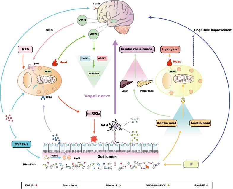 https://cdn.ncbi.nlm.nih.gov/pmc/blobs/4c45/8898354/697bee3c138d/ijbsv18p1706g002.jpg