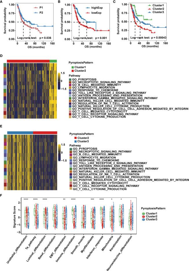 https://cdn.ncbi.nlm.nih.gov/pmc/blobs/4c47/9035667/ebcbe106c6dc/fimmu-13-782982-g002.jpg