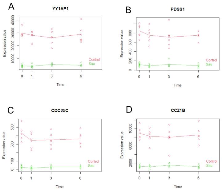 https://cdn.ncbi.nlm.nih.gov/pmc/blobs/4c4b/11988392/5c81917bd82f/ijms-26-03009-g004.jpg