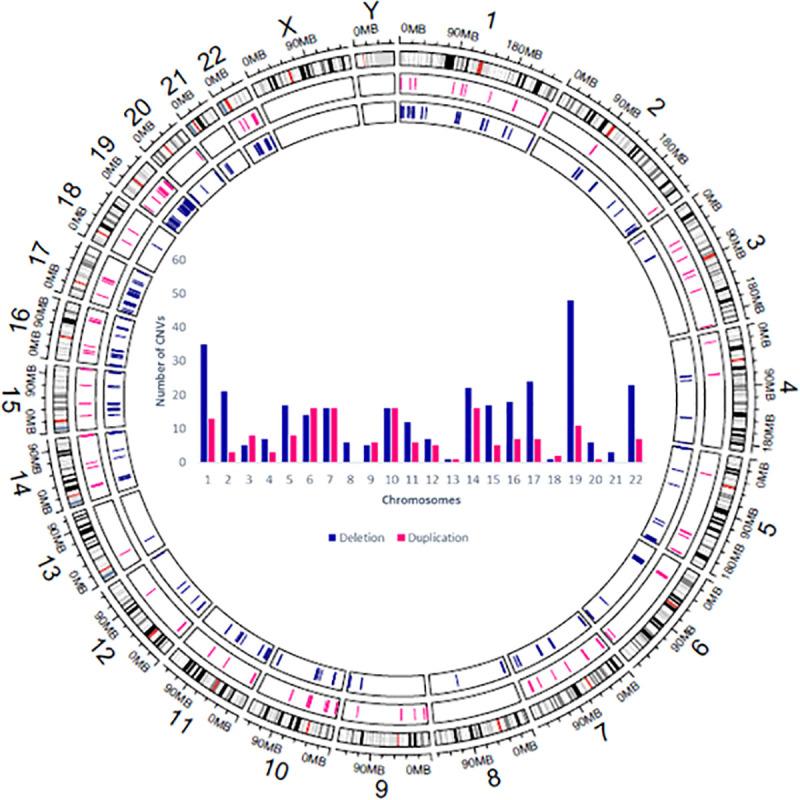 https://cdn.ncbi.nlm.nih.gov/pmc/blobs/4c4b/7840007/d31b0f320174/pone.0245362.g001.jpg