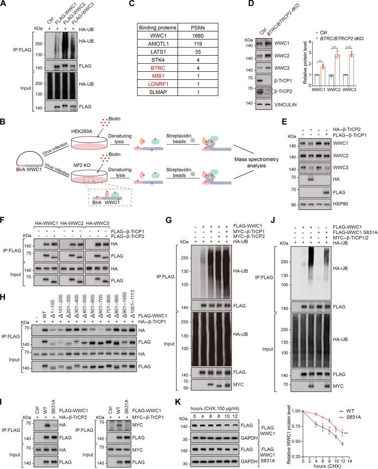 https://cdn.ncbi.nlm.nih.gov/pmc/blobs/4c4e/11753430/0748bdb94ca3/sciadv.adp4765-f2.jpg