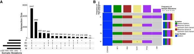 https://cdn.ncbi.nlm.nih.gov/pmc/blobs/4c4f/6996521/701415ca091f/MCS004671And_F2.jpg