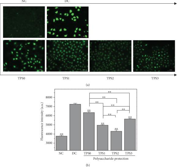 https://cdn.ncbi.nlm.nih.gov/pmc/blobs/4c53/7199607/9f66f42adc0e/OMCL2020-1817635.003.jpg