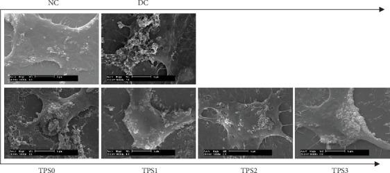 https://cdn.ncbi.nlm.nih.gov/pmc/blobs/4c53/7199607/aa1b15b19354/OMCL2020-1817635.008.jpg