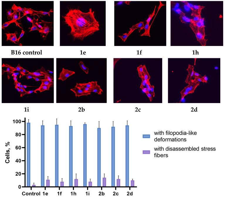 https://cdn.ncbi.nlm.nih.gov/pmc/blobs/4c54/12026830/4429faf5365c/ijms-26-03474-g011.jpg