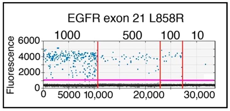 https://cdn.ncbi.nlm.nih.gov/pmc/blobs/4c56/6115779/28e718f0d05e/cancers-10-00270-g006.jpg