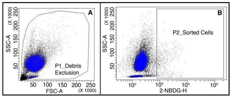 https://cdn.ncbi.nlm.nih.gov/pmc/blobs/4c56/6115779/ddc404faea37/cancers-10-00270-g007.jpg