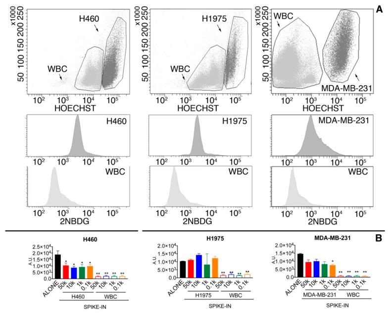 https://cdn.ncbi.nlm.nih.gov/pmc/blobs/4c56/6115779/f1e64aadb4cf/cancers-10-00270-g002.jpg