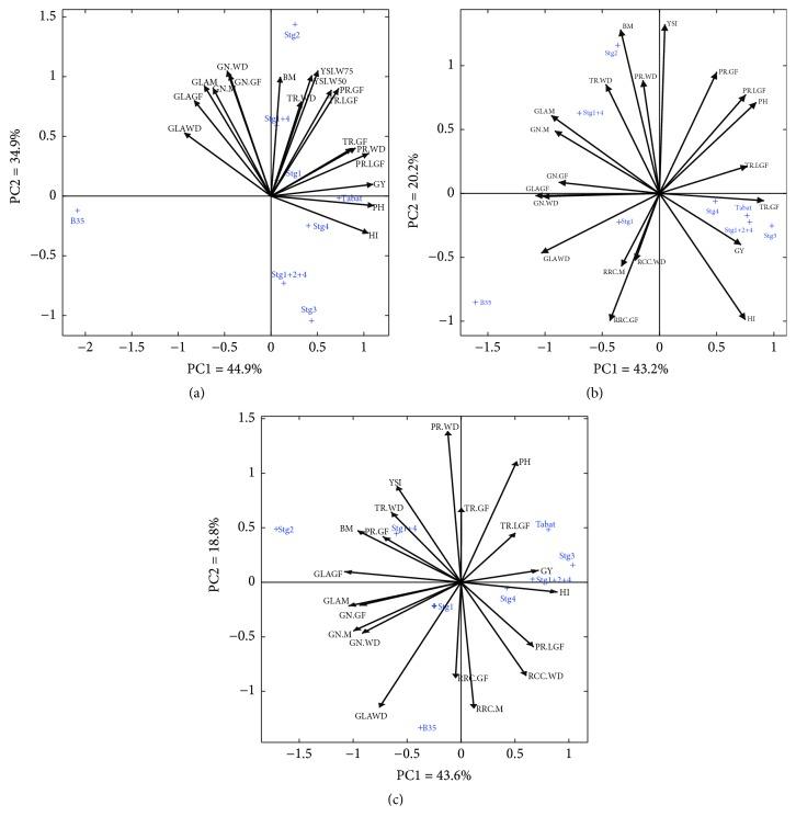 https://cdn.ncbi.nlm.nih.gov/pmc/blobs/4c56/6280221/223704e8c01c/BMRI2018-7082095.006.jpg