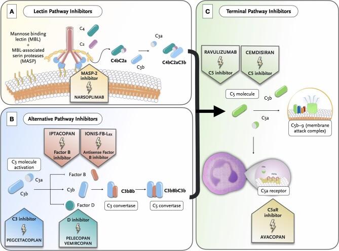 https://cdn.ncbi.nlm.nih.gov/pmc/blobs/4c57/10695513/4b10cea32d92/sfad198fig3.jpg
