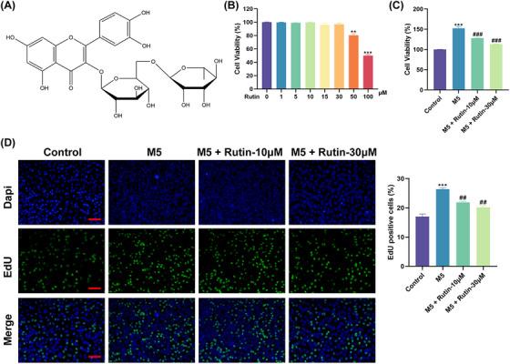 https://cdn.ncbi.nlm.nih.gov/pmc/blobs/4c57/11337924/d9d556c01bf3/SRT-30-e70011-g003.jpg
