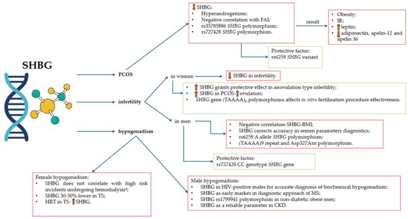 https://cdn.ncbi.nlm.nih.gov/pmc/blobs/4c57/12109167/dacc54bbd13a/biomedicines-13-01207-g005.jpg