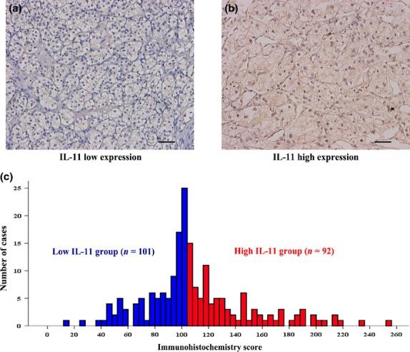 https://cdn.ncbi.nlm.nih.gov/pmc/blobs/4c57/4452160/4af64c24722c/cas0106-0592-f1.jpg