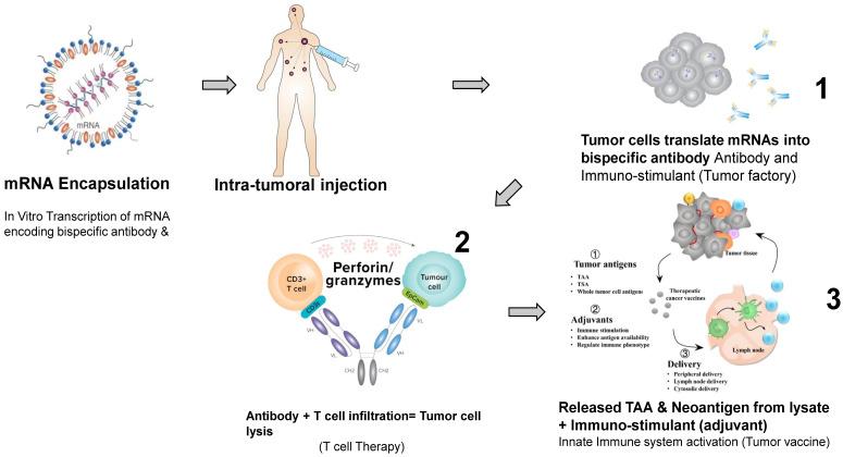 https://cdn.ncbi.nlm.nih.gov/pmc/blobs/4c58/10605091/9b37fad43693/cancers-15-05053-g001.jpg